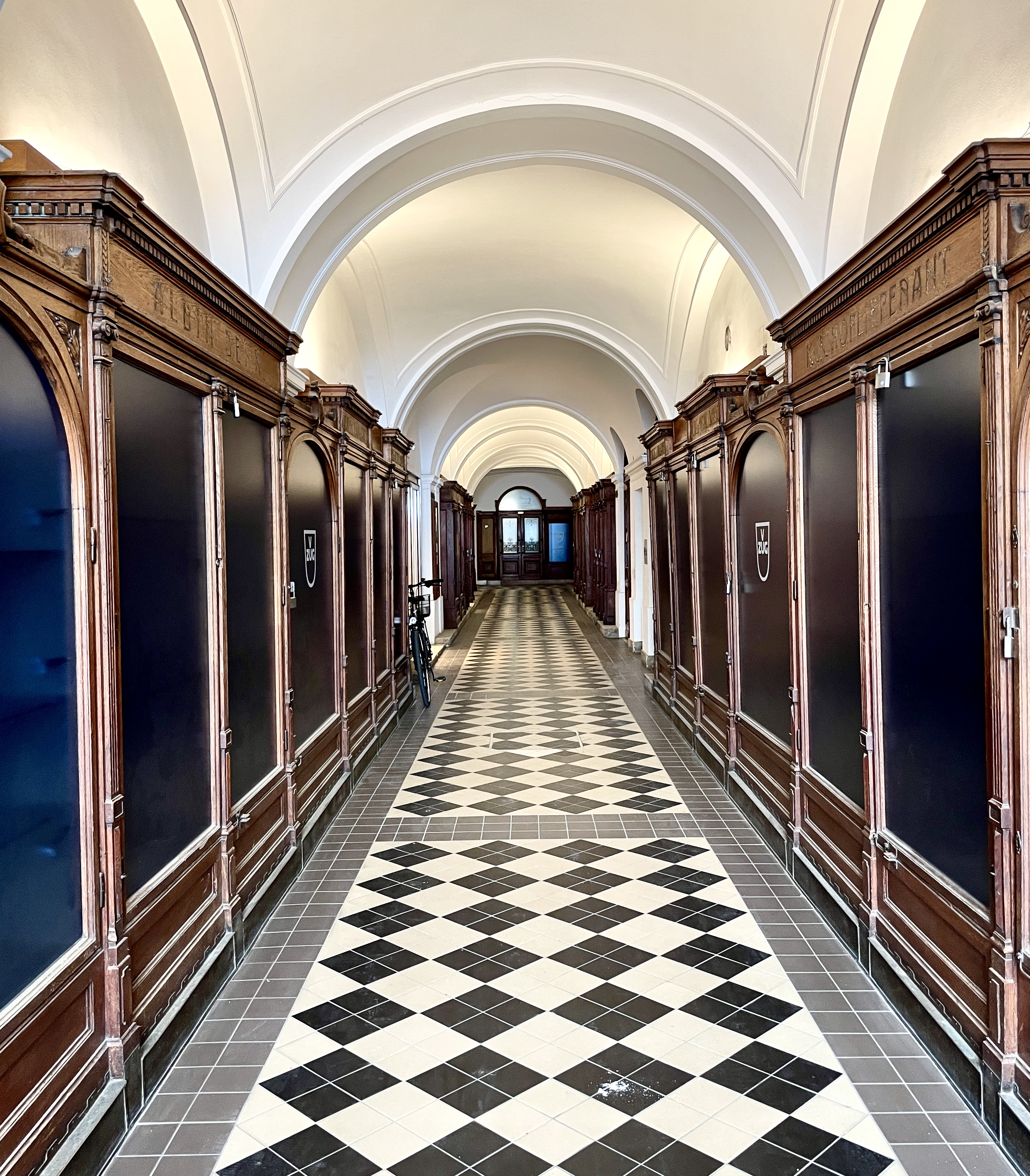 Vienna s Intrinsic Beauty
